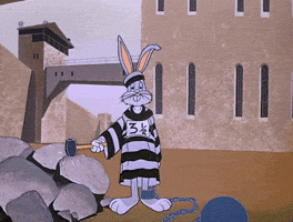 bunny